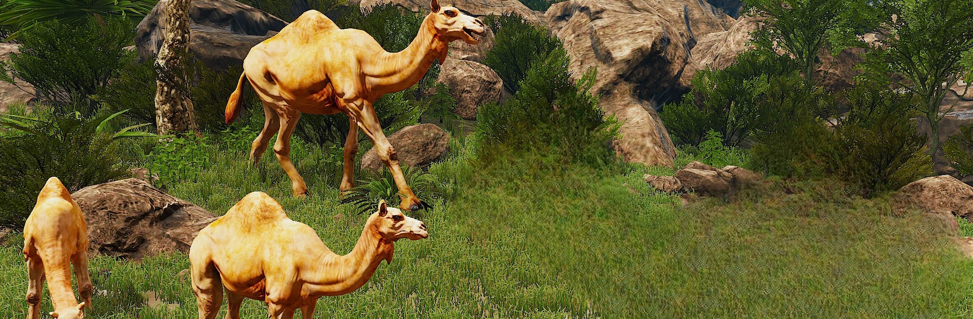 The Camel - Animal Simulator