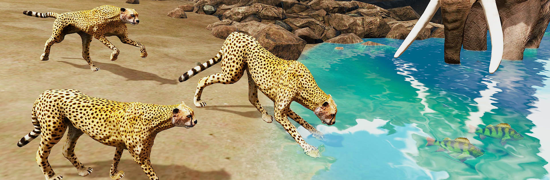 The Cheetah - Animal Simulator