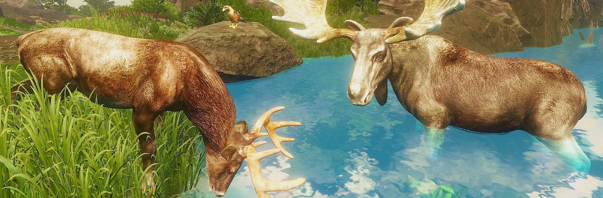 The Moose - Animal Simulator