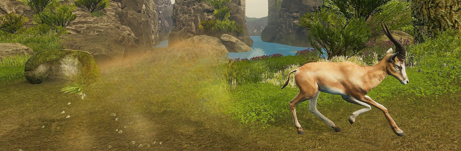 The Tiger - Animal Simulator