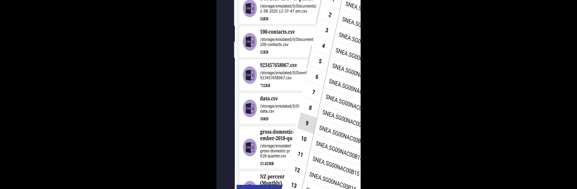 CSV File Viewer