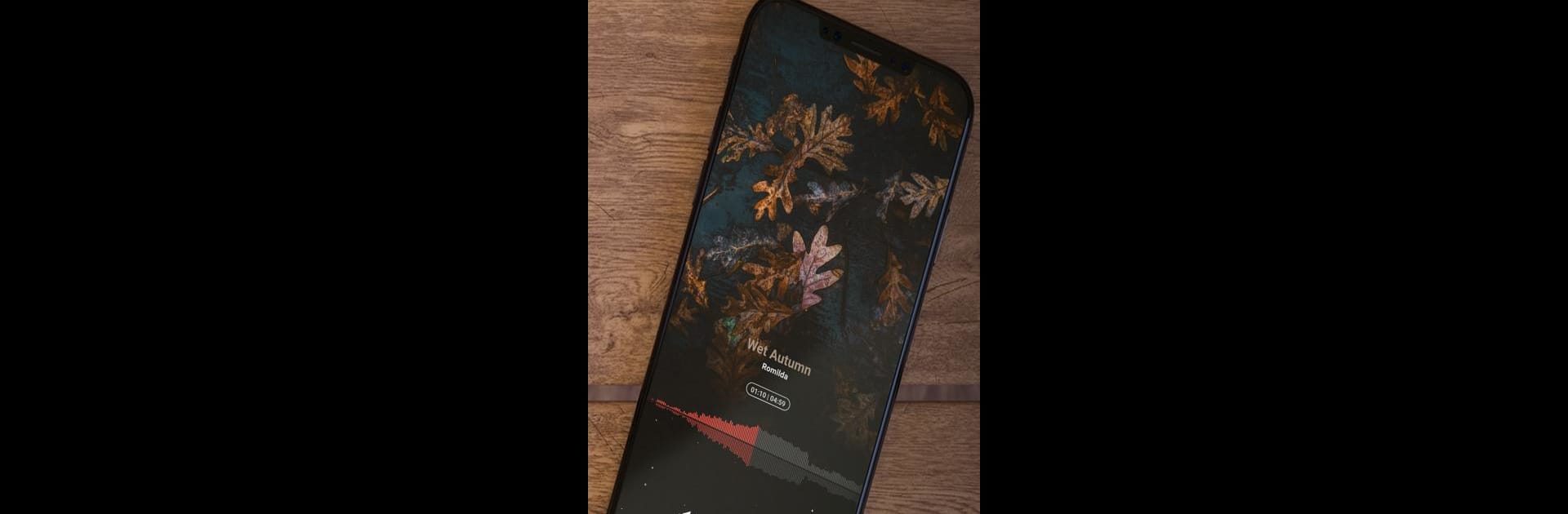 Music player (no ads)