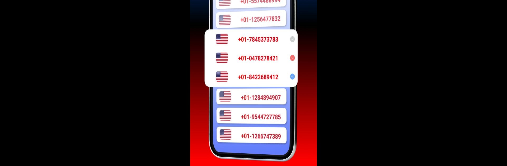 USA Phone Number