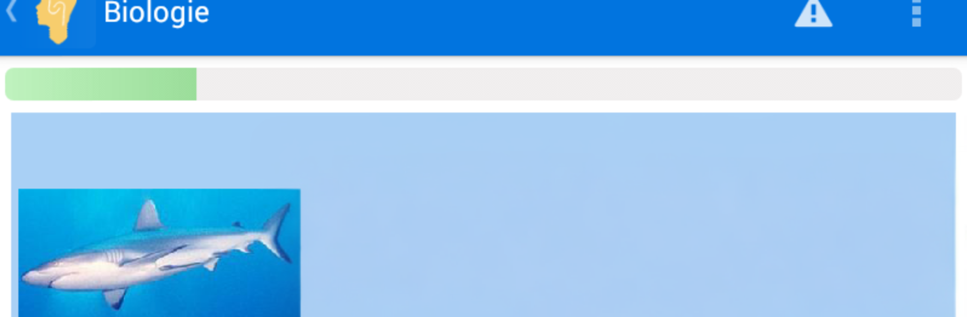 Schlaukopf: Das Wissensquiz für die Schule