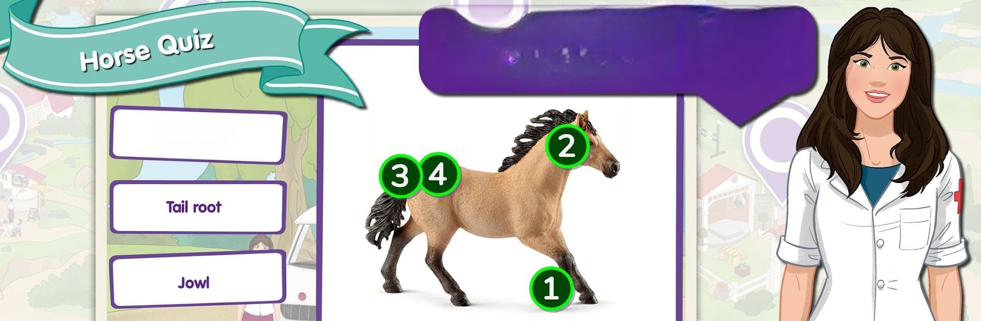 HORSE CLUB Horse Adventures