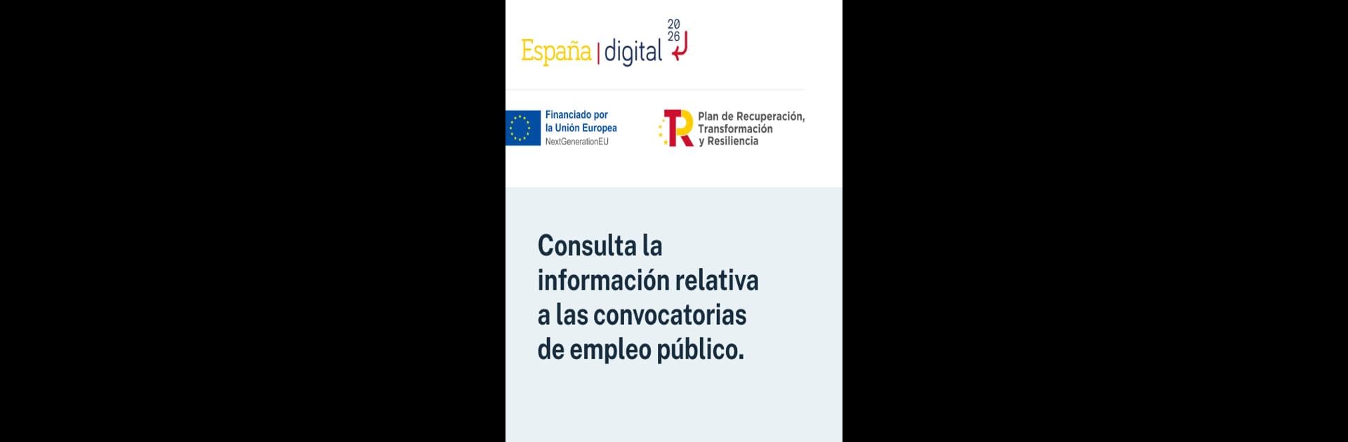 Empleo público