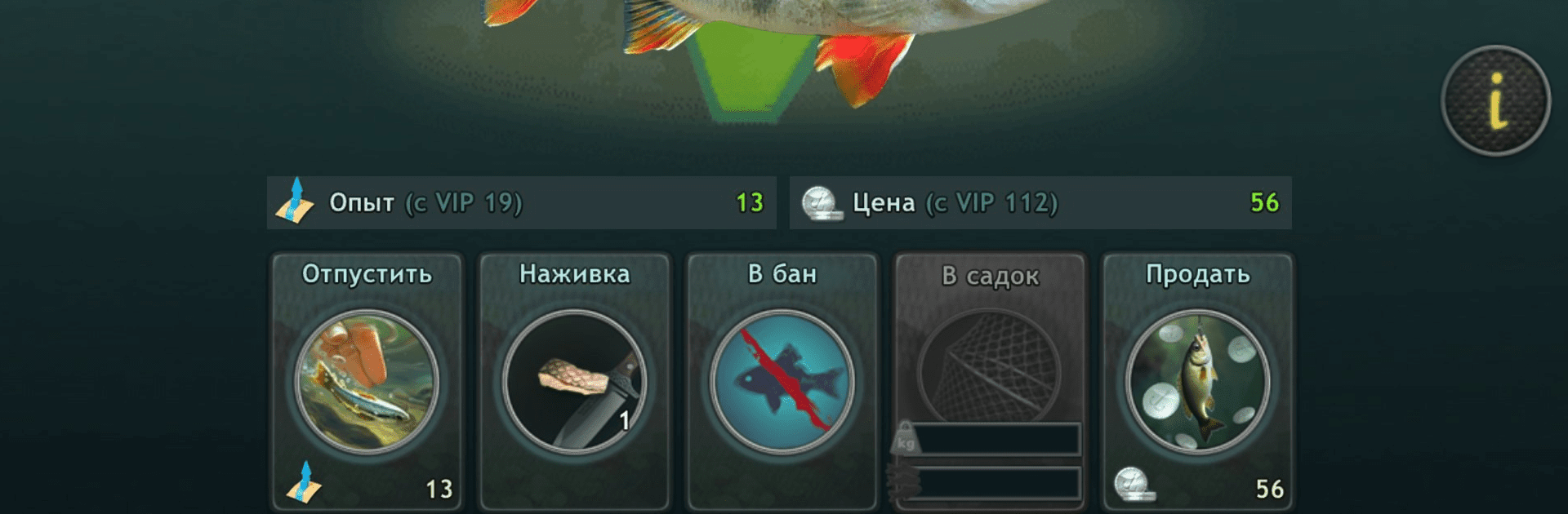 World of Fishers, Fishing game