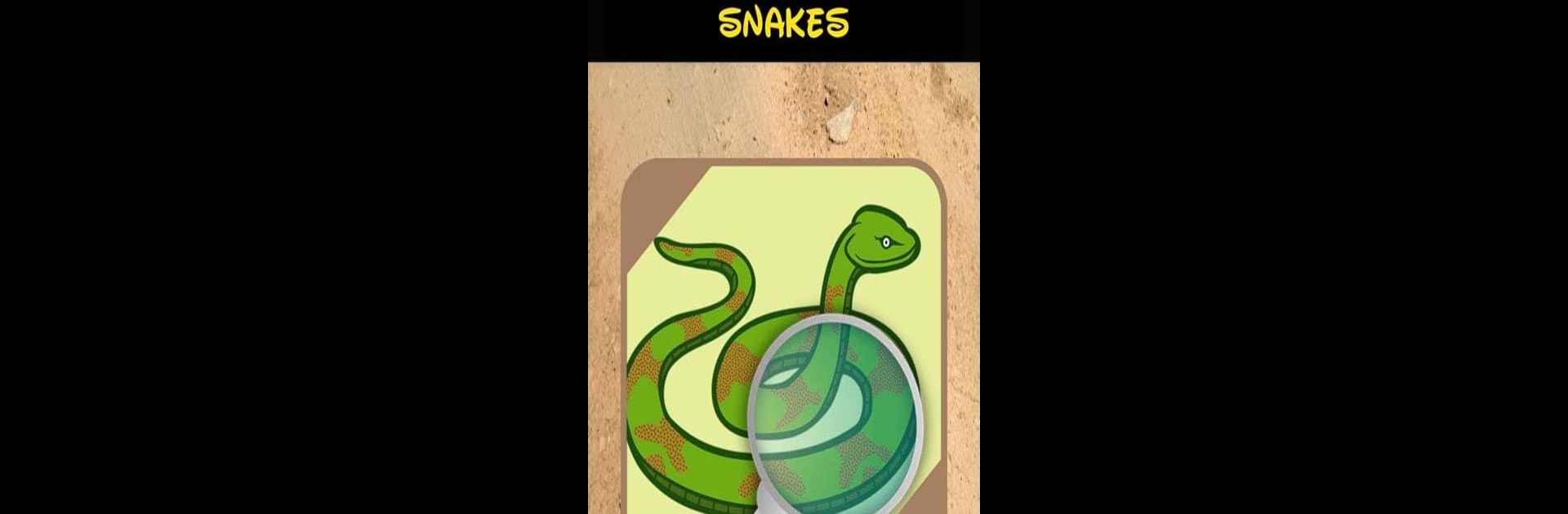 Automatic Snake Identifier