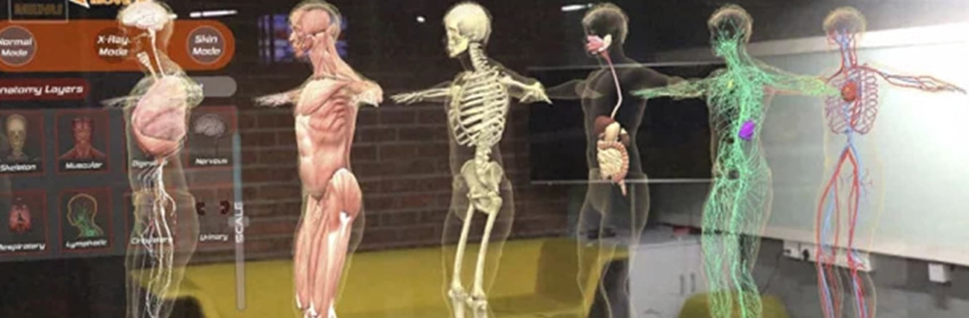 Irusu Human Anatomy 4D VR AR