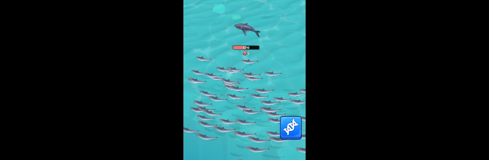 Shark Universe