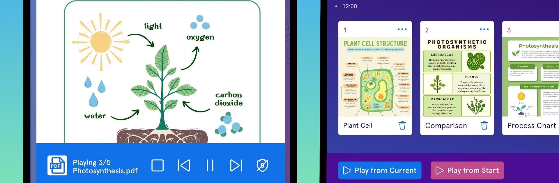 Vivi User App