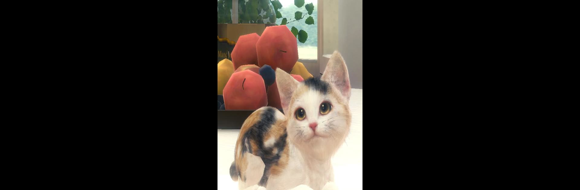 with My CAT