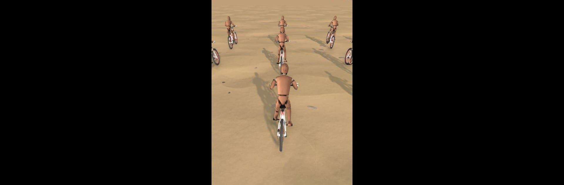 Bicycle Race