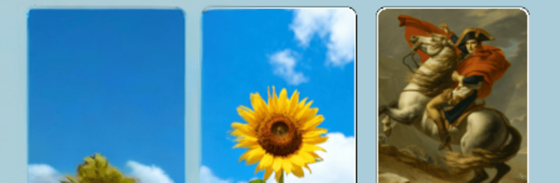 Snap Connect: photo sort