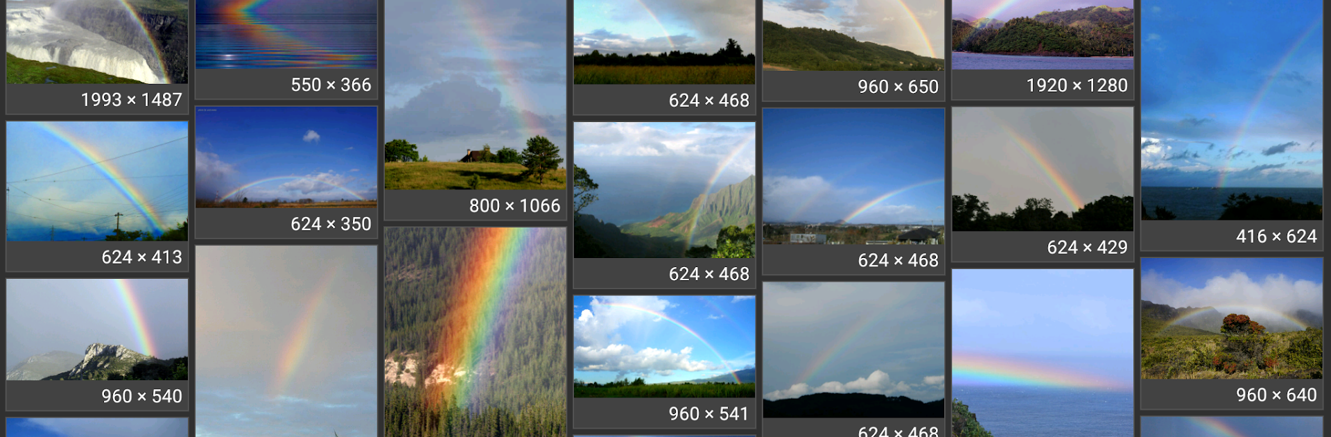 Image Search - PictPicks