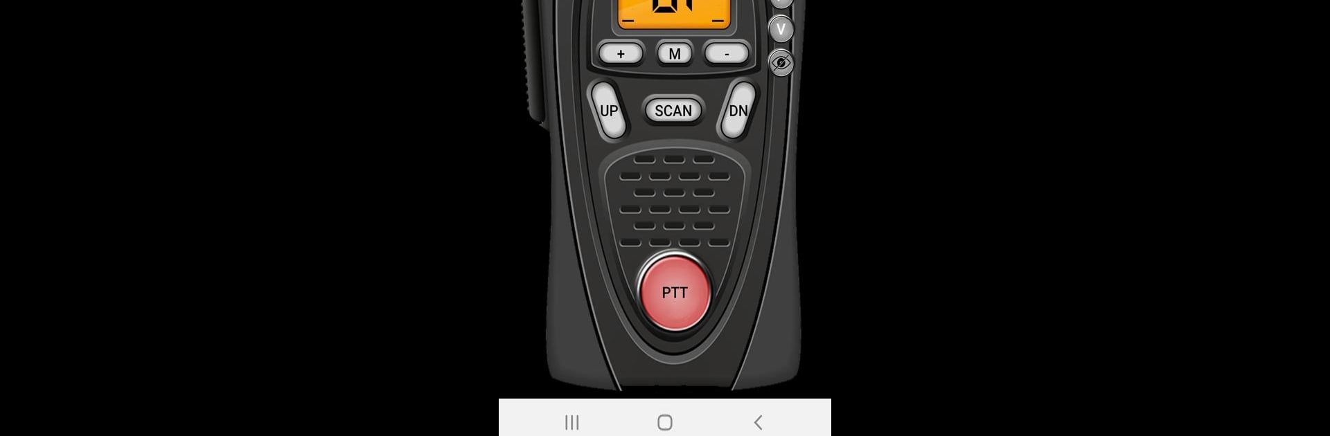 Online Walkie Talkie Pro