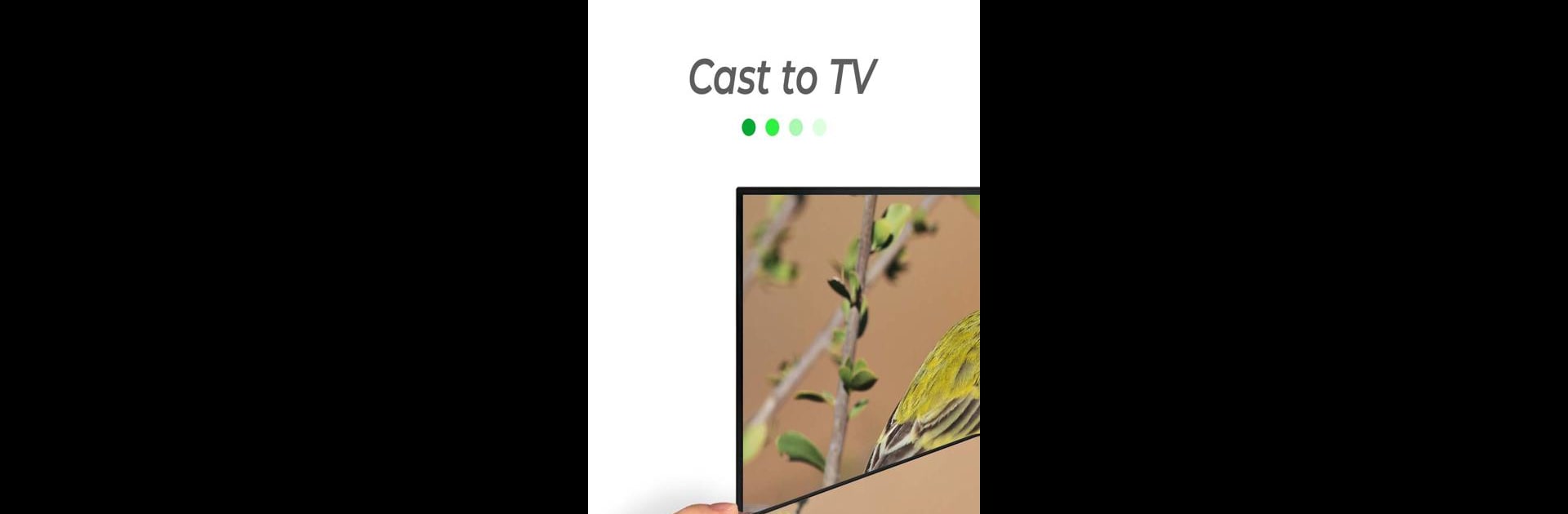 Cast to TV & Web Video Cast