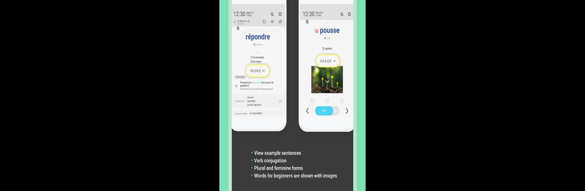 WordBit French (for English speakers)