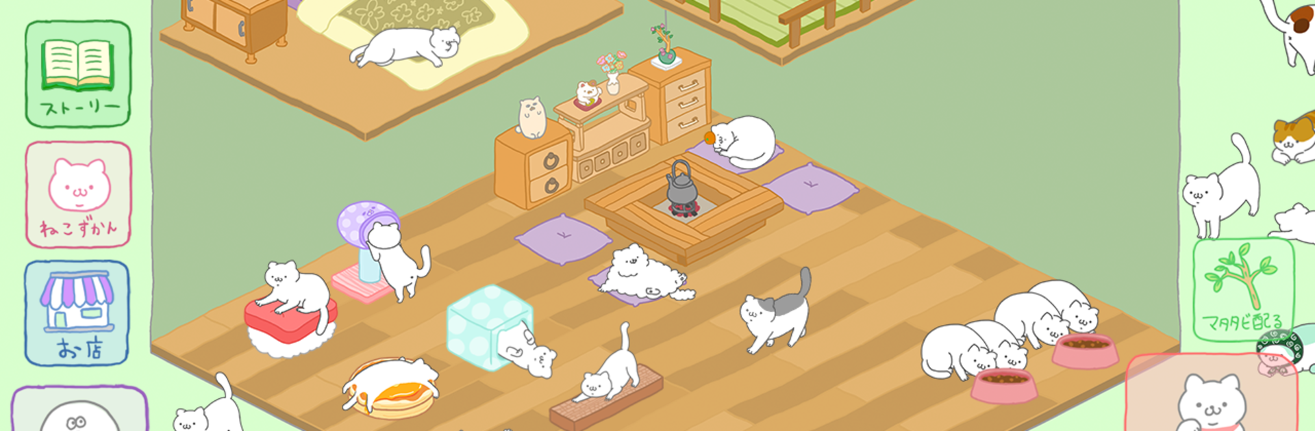 Purrfect Spirits