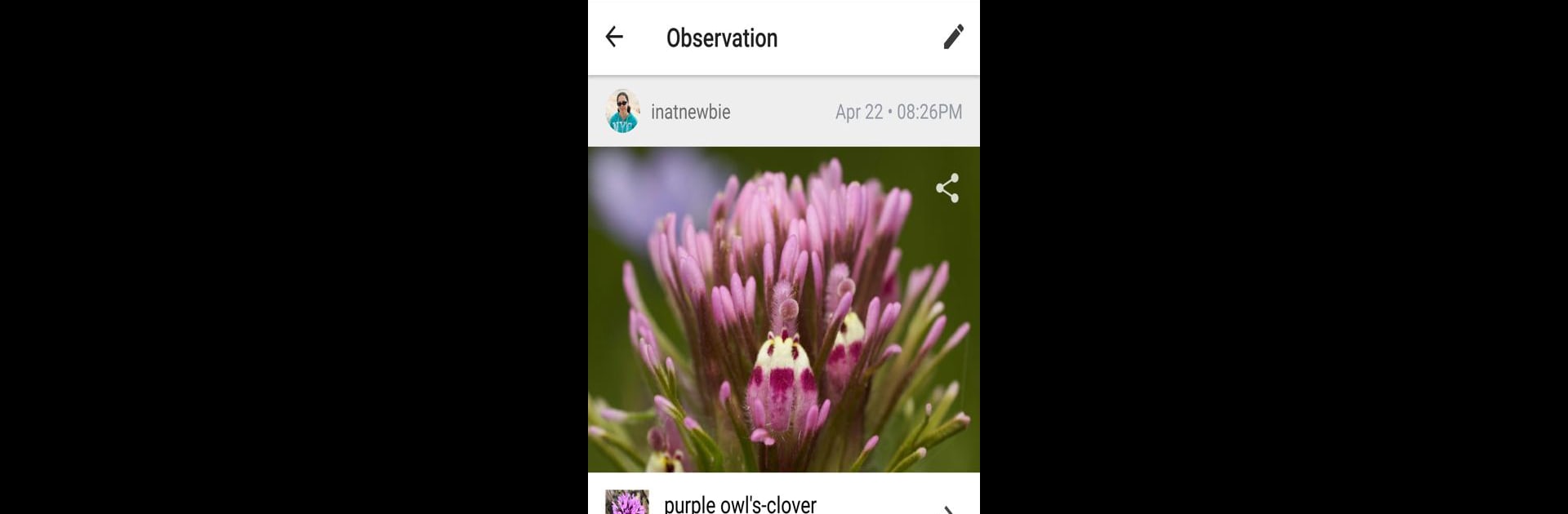 iNaturalist