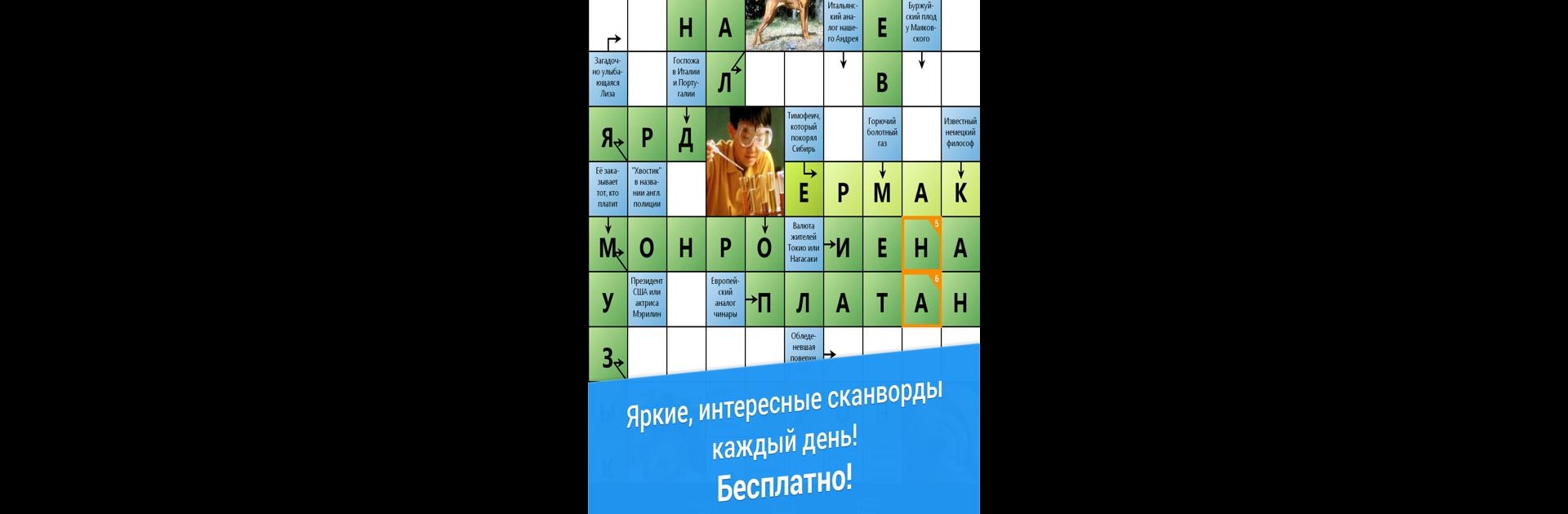 Сканворд Дня