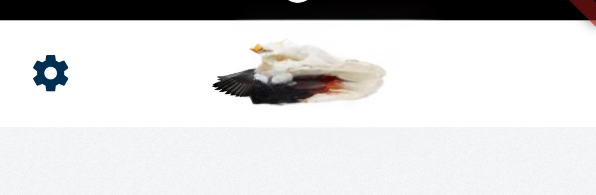 BirdID Nord University