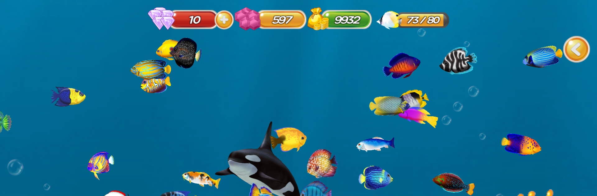 Fish Raising - My Aquarium