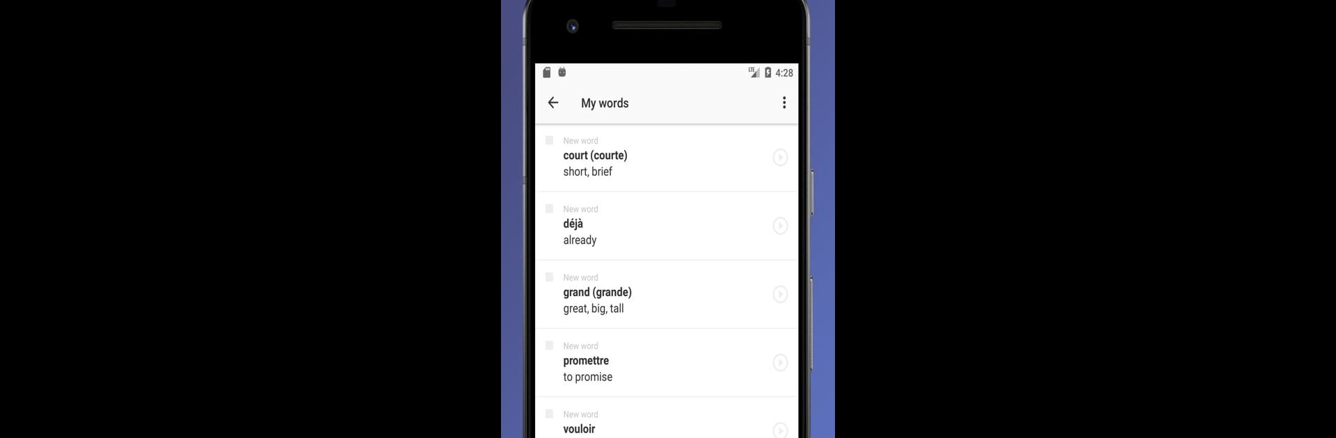 French Words. Flash Cards. Vocabulary builder