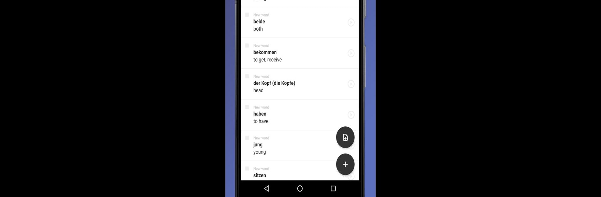 German Words. Flash Cards. Vocabulary Builder