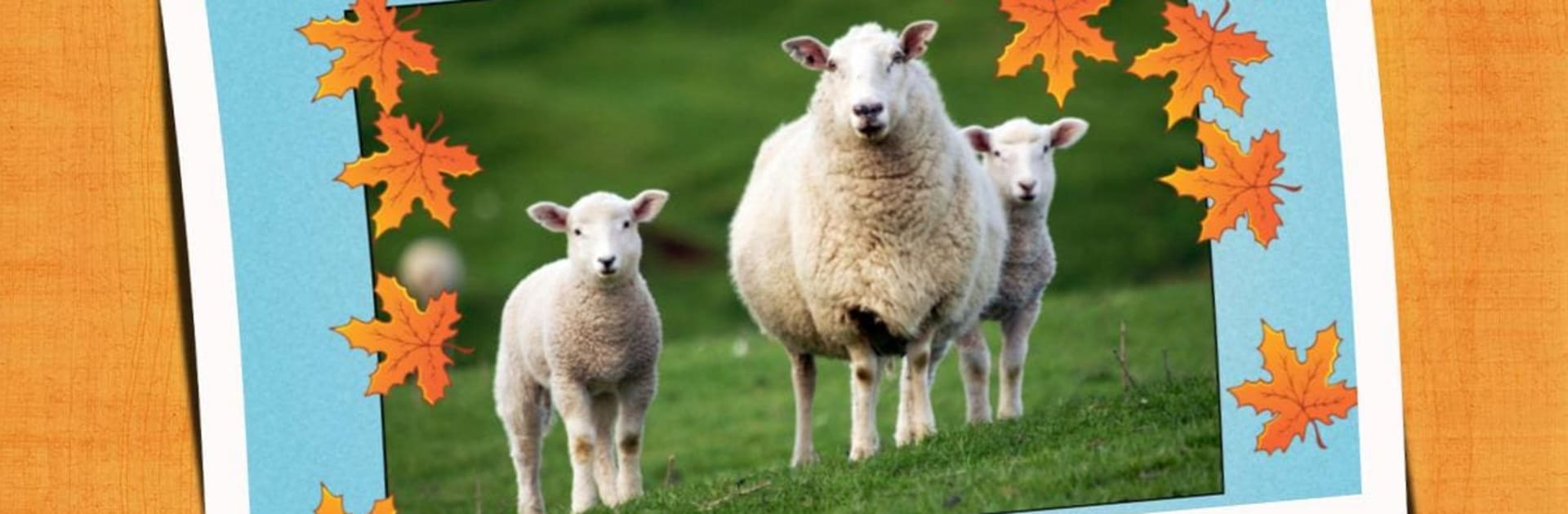 Animal Babies Jigsaw Puzzles Game - Kids & Adults