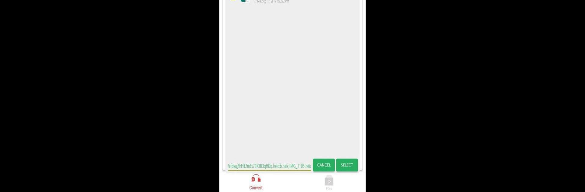 Heic to JPG Converter Pro