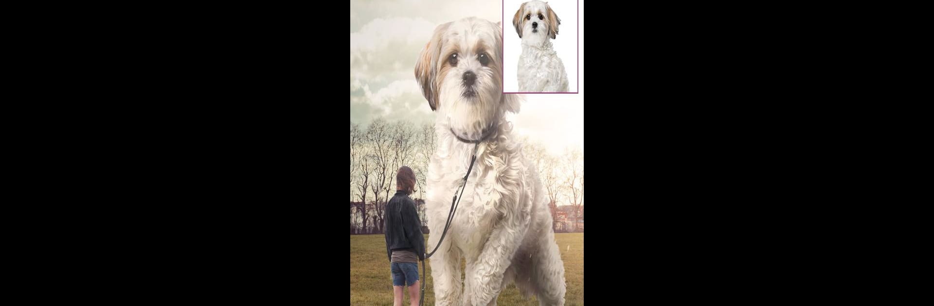 Pixomatic photo editor
