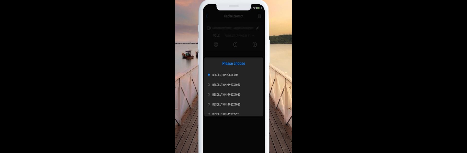 Fast Video Downloader