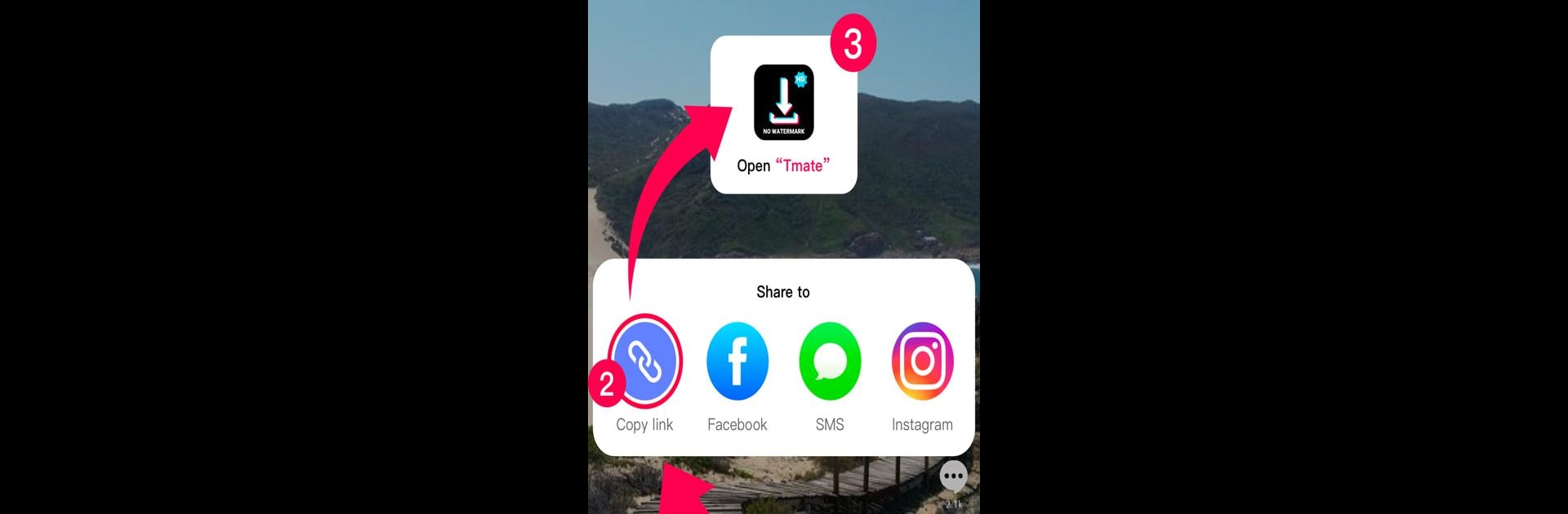 Descargar Vídeo de TikTok