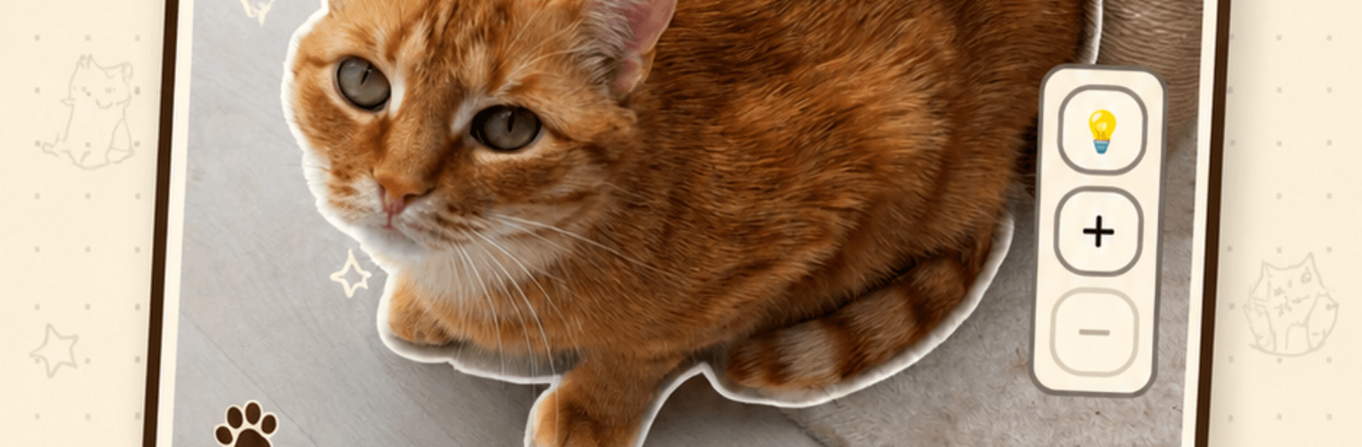 CatchCat
