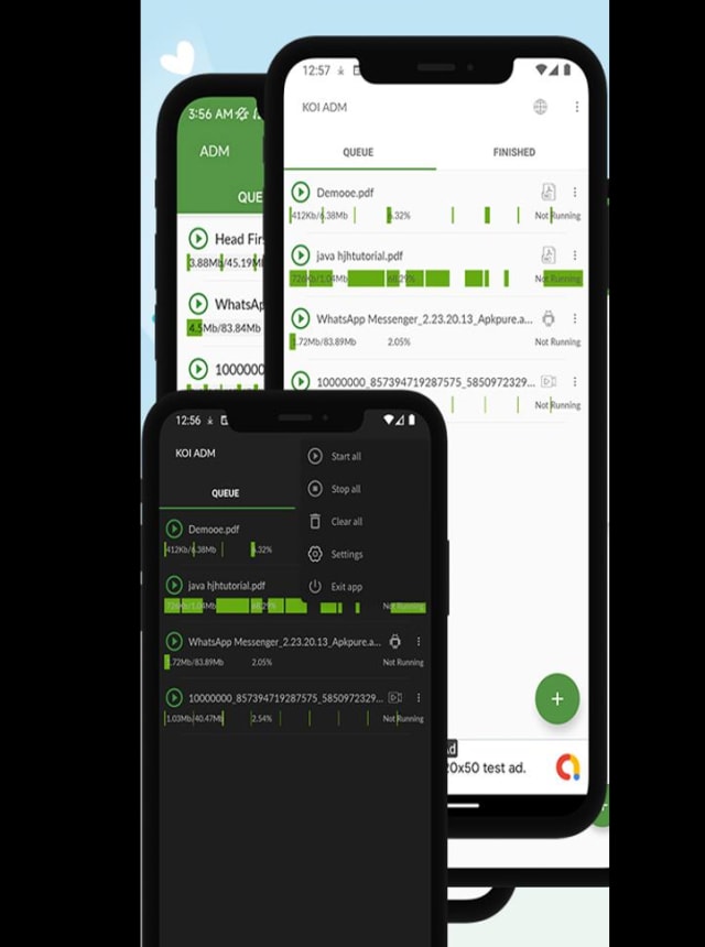 Internet Download Manager