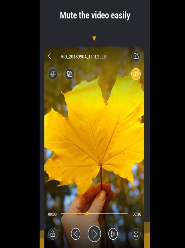 Video Player & Media Player All Format for Free