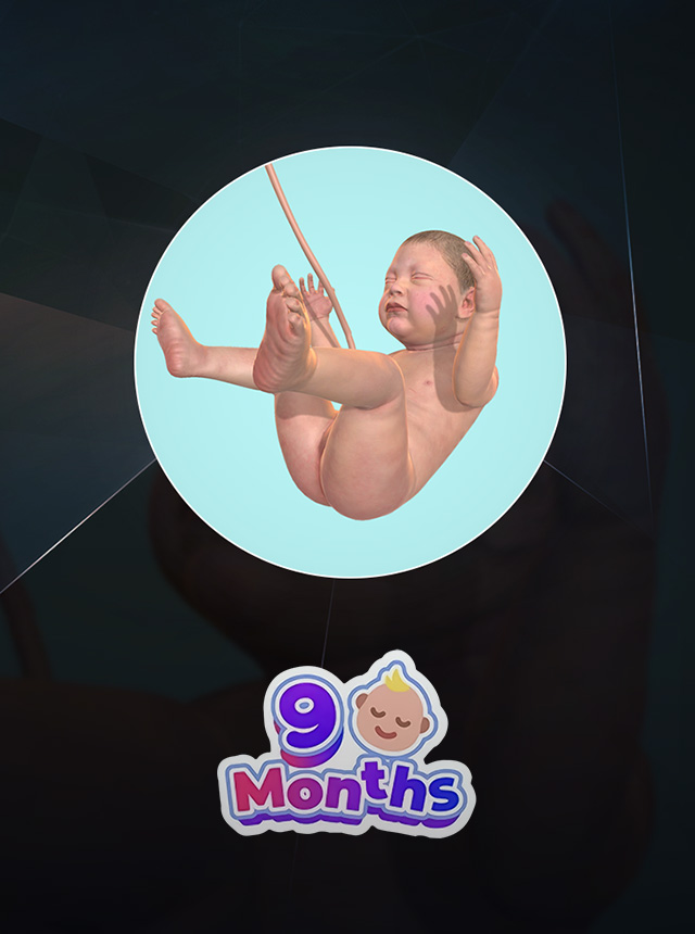 Play Idle 9 Months Online