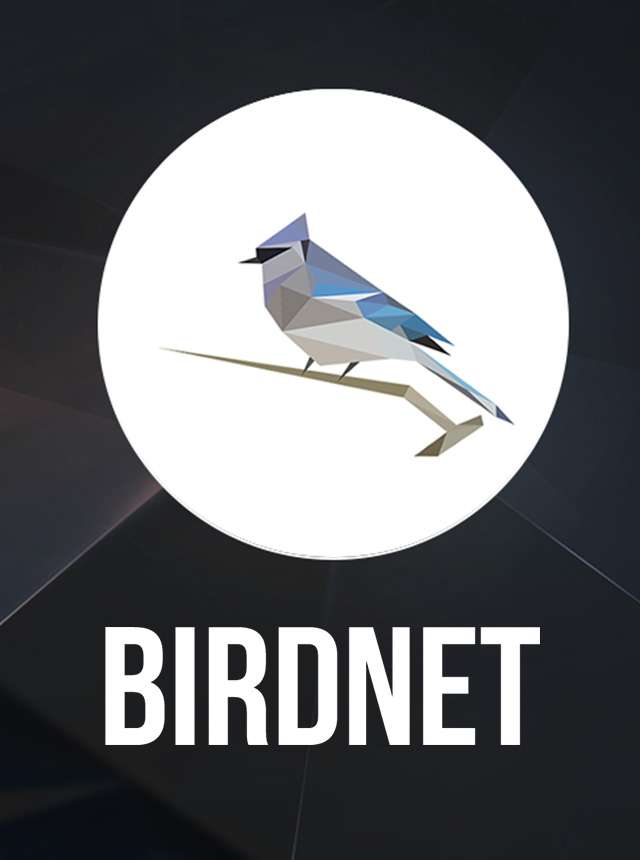 BirdNET
