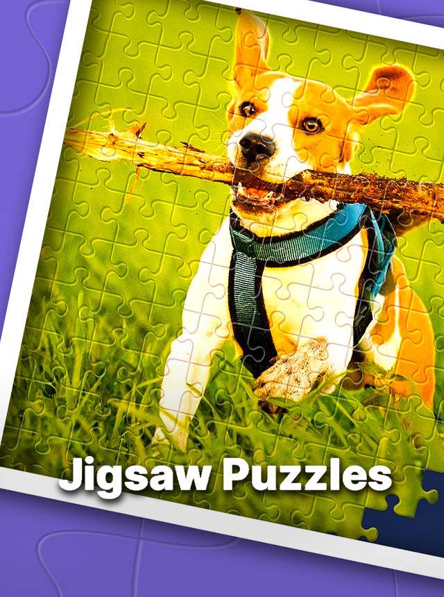 Jigsaw Puzzles Pro - Download