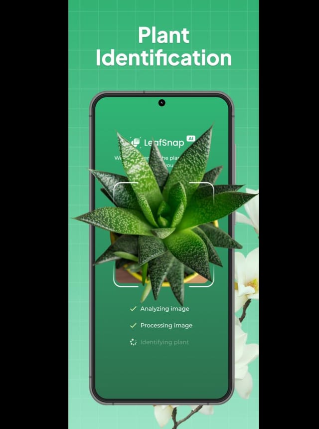 Download and run LeafSnap Plant Identification on PC & Mac (Emulator)
