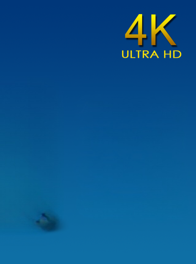 Video Player HD
